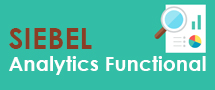Learnchase SIEBEL Analytics Functional Online Training