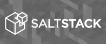Learnchase SaltStack Online Training