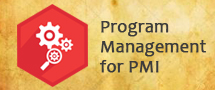 LearnChase Best Program Management for PMI Online Training