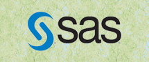 LearnChase SAS Online Training