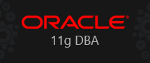Learnchase Oracle 11g DBA Online training