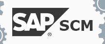 Learnchase SAP SCM Online Training