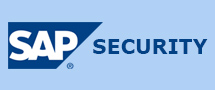 Learnchase SAP Security Online Training