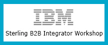 Learnchase Best IBM Sterling B2B Integrator Workshop for IBM Onine Training