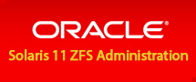 LearnChase Oracle Solaris 11 ZFS Administration Online training