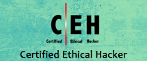 Learnchase EC Council Certified Ethical Hacker (CEH) Online Training