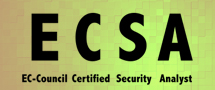 Learnchase EC Council Certified Security Analyst (ECSA) Online Training