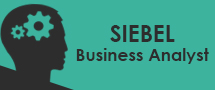 Learnchase SIEBEL Business Analyst Online Training