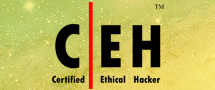 Learnchase Certified Ethical Hacker Online Training