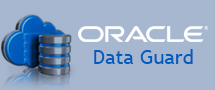 Learnchase_Oracle-Data-Guard-Training